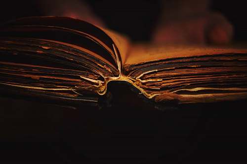 romania person reading book book